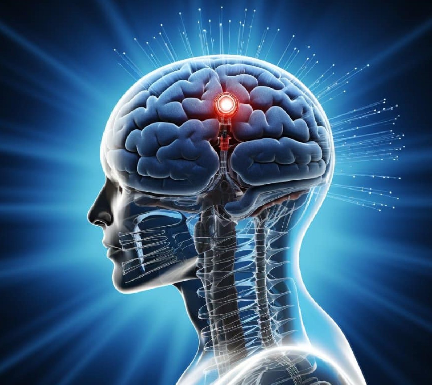 Digital Brain Analysis