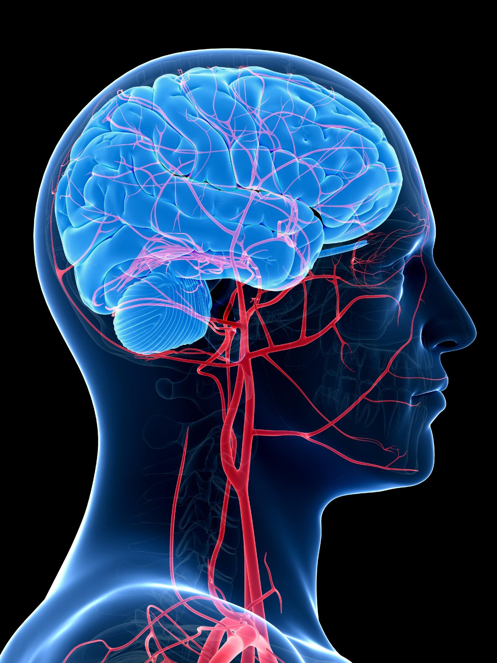 Brain Tumour Surgery