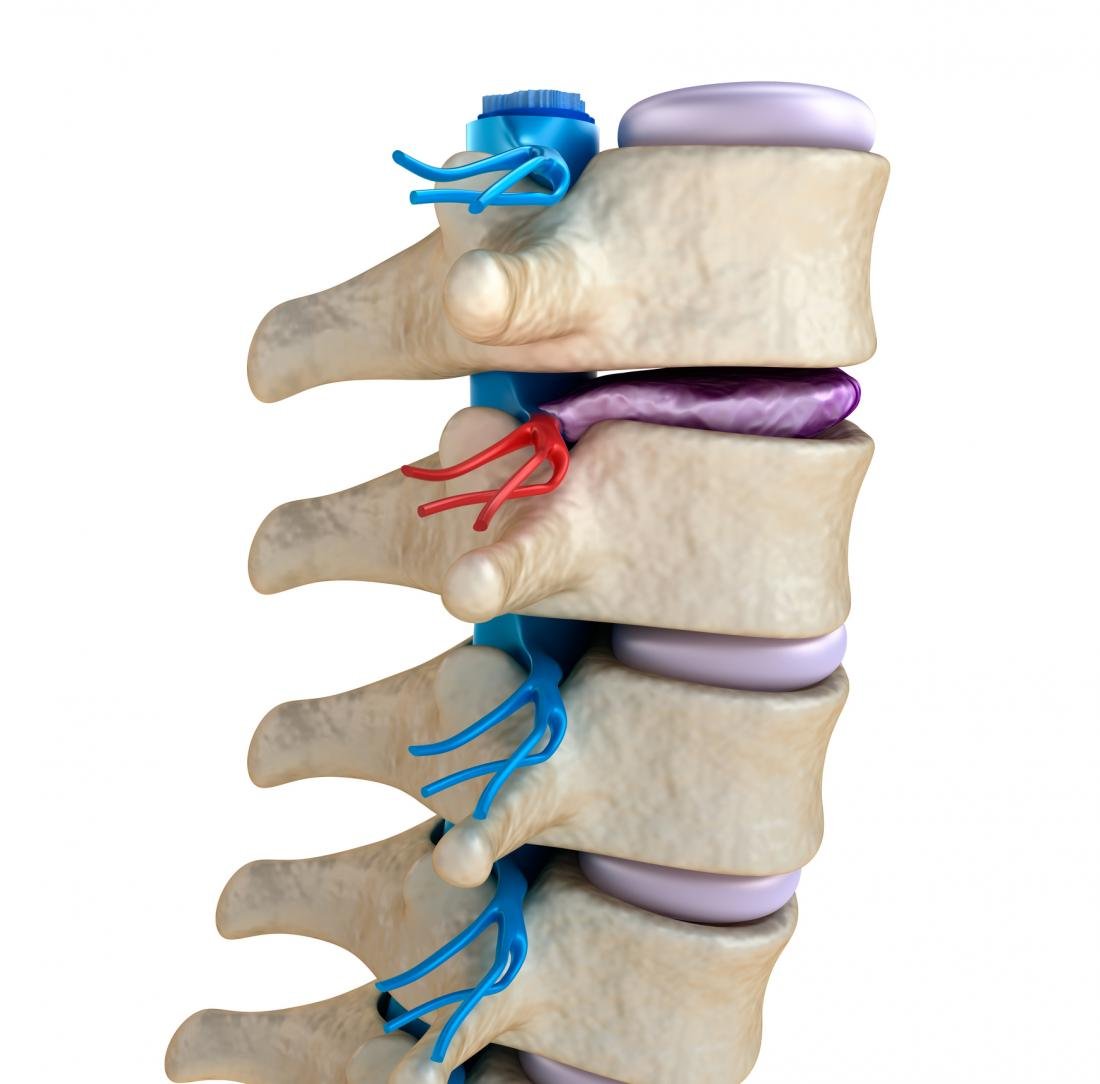 Spine Surgery