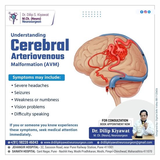 Cerebral Arteriovenous Digital Subtraction Angiogram